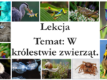 Klasa 6 - W królestwie zwierząt - prezentacja
