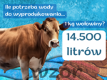 Szkolna gazetka na Dzień Ziemi - Czy wiesz, ile wody potrzeba do wyprodukowania 1 jajka?