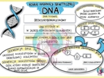 Nośnik informacji genetycznej - DNA - sketchnotka - klasa 8