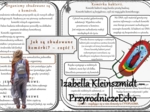 Zestaw sketchnotek/notatek/streszczeń/wklejek/ściąg dla ucznia i nauczyciela w pdf. Biologia 5 dział „Organizacja i chemizacja życia”. Notatki zostały wykonane na podstawie podręcznika z wydawnictwa WSiP.