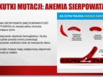 Mutacje (prezentacja multimedialna)