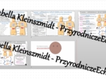 Minizestaw na temat „Budowa i funkcjonowanie układu hormonalnego” – sketchnotka + karta pracy w power point + gratisowy link do prezentacji multimedialnej niekomercyjnej wykonanej w genial.ly do indywidualnego pobrania i użycia do celów niekomercyjnych. 