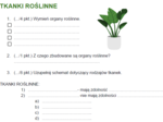 tkanki roślinne