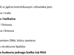 Test- ekspresja informacji genetycznej w komórkach człowieka