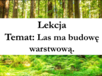 Klasa 4 - Las ma budowę warstwową - prezentacja