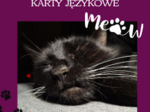 🐾 Koty w Języku – Karty z Kocią Frazeologią! 🐾