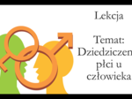 Klasa 3 (podstawa) - Dziedziczenie płci. Cechy sprzężone z płcią - prezentacja
