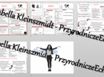 Minizestaw na temat „Mapa i skala„ – sketchnotka + karta pracy w power point + gratisowy link do prezentacji multimedialnej niekomercyjnej wykonanej w genial.ly do indywidualnego pobrania i użycia do celów niekomercyjnych. Geografia 5, „ Mapa Polski”