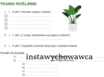 tkanki roślinne