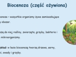 Podstawowe pojęcia ekologiczne. Definicja. Przykłady. Krótkie pytania quizowe.