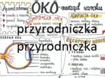 Klasa 7. Biologia. Oko (Sketchnotka)