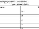 Ćwiczenia gramatyczne: rzeczownik, przymiotnik, przysłówek, czasownik (klasa 4/5)