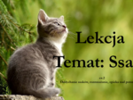 Ssaki - klasa 6 - prezentacja