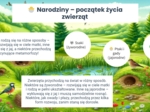 Cykl życia roślin i zwierząt