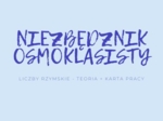 NIEZBĘDNIK ÓSMOKLASISTY - LICZBY RZYMSKIE- TEORIA + KARTA PRACY