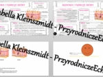 Minizestaw na temat „Budowa i funkcje skóry” – sketchnotka + karta pracy w power point + gratisowy link do prezentacji multimedialnej niekomercyjnej wykonanej w genial.ly do indywidualnego pobrania i użycia do celów niekomercyjnych. Biologia 7, „Organizm