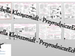 Zestaw sketchnotek i kart pracy + gratisowe linki do prezentacji multimedialnych niekomercyjnych wykonanych w genial.ly do indywidualnego pobrania i użycia do celów niekomercyjnych. Geografia 8, „Obszary okołobiegunowe”
