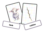 Easter Flashcard Set- Zestaw Wielkanocnych kart obrazkowych i wyrazowych