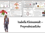Zestaw sketchnotek/notatek/streszczeń/wklejek/ściąg dla ucznia i nauczyciela w pdf. Biologia 5 dział „Tkanki i organy roślinne”. Notatki zostały wykonane na podstawie podręcznika z wydawnictwa WSiP.
