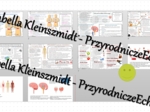 Zestaw sketchnotek – notatek do całego działu „Regulacja nerwowo-hormonalna” wykonanych w power point do edycji. Biologia 7