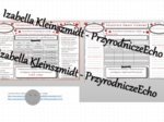 Minizestaw na temat „Inne kwasy tlenowe” – sketchnotka + karta pracy w power point + gratisowy link do prezentacji multimedialnej niekomercyjnej wykonanej w genial.ly do indywidualnego pobrania i użycia do celów niekomercyjnych. Chemia 7 lub 8, „Kwasy”