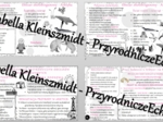 Zestaw sketchnotek – notatek do całego działu „Obszary okołobiegunowe” wykonanych w power point do edycji. Geografia 8