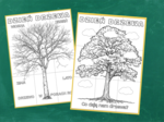 DZIEŃ DRZEWA - DWIE KOLOROWANKI XXL