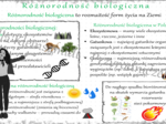 Sketchnotka „Różnorodność biologiczna”. Biologia klasa 8, dział IV „Człowiek i środowisko”