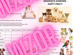 Karty Pracy - Zwierzęta domowe - 24 karty pracy
