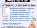 DZIENNIK PRAKTYK – INTEGRACJA SENSORYCZNA (SI) 120 GODZIN – KOMPLETNA DOKUMENTACJA
