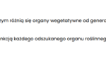Organy wegetatywne i generatywne roślin (liście, łodyga, korzeń, owoce, kwiat)