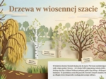 Kwiecień - gazetka/prezentacja/20 plansz