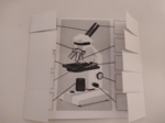 Mikroskop / Microscope - okienkowa notatka po angielsku