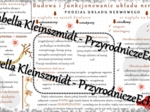 Sketchnotka - notatka „Budowa i funkcje układu nerwowego” wykonana w power point do edycji. Biologia 7; „Regulacja nerwowo-hormonalna”