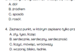 Egzamin ósmoklasisty - argumentacja 3, kartkówka, gramatyka, ortografia