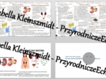 Minizestaw na temat „Higiena i choroby układu wydalniczego” – sketchnotka + karta pracy w power point + gratisowy link do prezentacji multimedialnej niekomercyjnej wykonanej w genial.ly do indywidualnego pobrania i użycia do celów niekomercyjnych. Biolog
