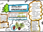 Klasa 5. Biologia. Nagonasienne (karta pracy kolorowa)