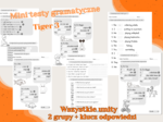 Mini testy gramatyczne Tiger 3 wszystkie unity