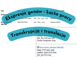 Ekspresja genów - transkrypcja, translacja. Karta genów - portret genetyczny.