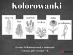 Zestaw kolorowanek