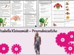 Minizestaw do tematu „Okrytonasienne” – sketchnotka + karta pracy w pdf + gratisowy link do prezentacji multimedialnej niekomercyjnej wykonanej w genial.ly do indywidualnego pobrania i użycia do celów niekomercyjnych. Biologia 5, Dział „Różnorodność rośl