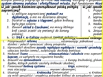 Panowanie Kazimierza Wielkiego (połowa XIV w.) – notatki i karta pracy