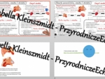 Minizestaw na temat „Zmysły powonienia, smaku i dotyku” – sketchnotka + karta pracy w power point + gratisowy link do prezentacji multimedialnej niekomercyjnej wykonanej w genial.ly do indywidualnego pobrania i użycia do celów niekomercyjnych. Biologia 7