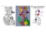 Chromosom, Łańcuch DNA kolorowanka a4 i xxl 9 części - Dzień Osób z Zespołem Downa