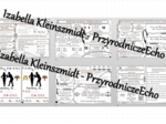 Zestaw sketchnotek – notatek do całego działu „Ważne prawa” wykonana w power point do edycji - wykonanych w power point do edycji. Chemia 7