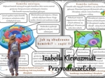 Sketchnotki/notatka/streszczenia/wklejki/ściągi dla ucznia i nauczyciela. Temat „Jak są zbudowane komórki?” w pdf. Biologia 5 dział „Organizacja i chemizacja życia”. Wykonana na podstawie podręcznika z wydawnictwa WSiP.