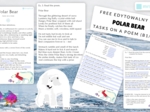 gotowa lekcja POLAR BEAR tasks on a poem B1/B2
