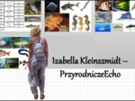 Materiał do zalaminowania/praca w grupach/stacje zadaniowe/układanka/puzzle okienkowa „Przegląd i znaczenie ryb” w pdf. Biologia 6 dział „Kręgowce zmiennocieplne”.