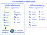 Makroelementy mikroelementy pierwiastki chemiczne