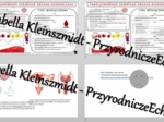 Minizestaw na temat „Funkcjonowanie żeńskiego układu rozrodczego” – sketchnotka + karta pracy w power point + gratisowy link do prezentacji multimedialnej niekomercyjnej wykonanej w genial.ly do indywidualnego pobrania i użycia do celów niekomercyjnych. 